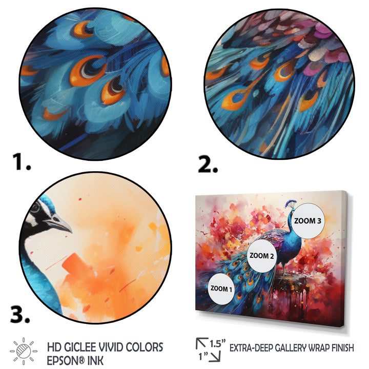 Red Blue Peacock Representation Multicolored Acrylic - Peacock Wall Art Prints