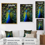 Teal Radiant Peacock - Teal Peacock Wall Art