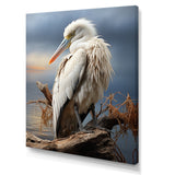 Grey Pelican Tranquil Waters Pelican - Pelican Bedroom Wall Art