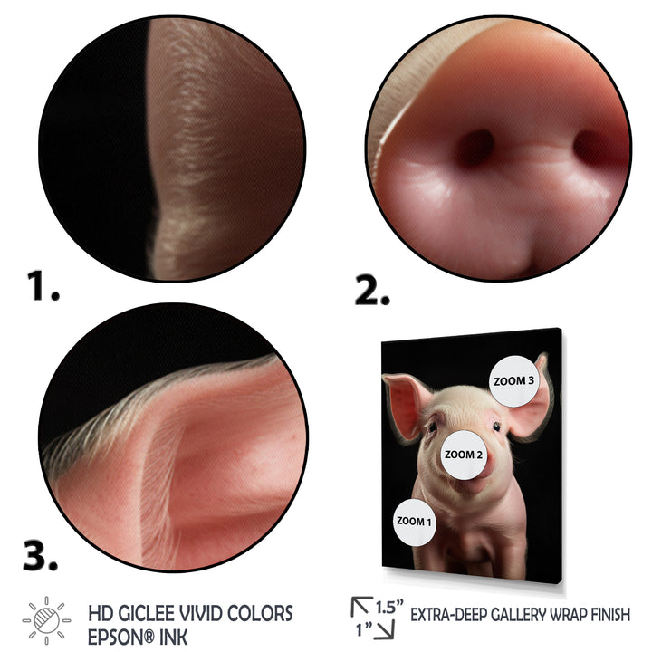 Pink Curious Snout Pig - Pig Large Canvas Wall Art
