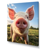Pink Pig Curious Snout Pig - Pig Home Decor Art