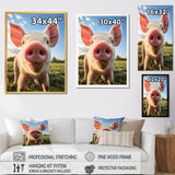 Pink Pig Curious Snout Pig - Pig Home Decor Art