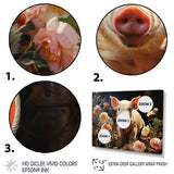 Pink Pig Joyful Oinker - Pig Living Room Wall Art