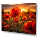 Red Poppies Field With Sunset II - Floral Canvas Wall Art