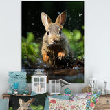 Rabbit Energetic Hopper - Rabbit Canvas Wall Art