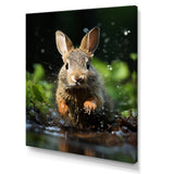 Rabbit Energetic Hopper - Rabbit Canvas Wall Art