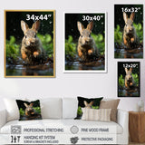 Rabbit Energetic Hopper - Rabbit Canvas Wall Art