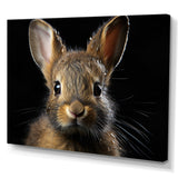 Cute Rabbit Portrait - Brown Rabbit Wall Art