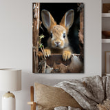 Funny Rabbit Portrait - Rabbit Framed Canvas Art