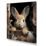 Funny Rabbit Portrait - Rabbit Framed Canvas Art
