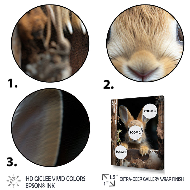 Funny Rabbit Portrait - Rabbit Framed Canvas Art