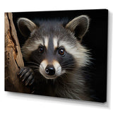 Curious Raccoon III - Animals Canvas Wall Art