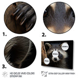 Curious Raccoon III - Animals Canvas Wall Art