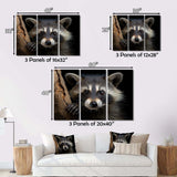 Curious Raccoon III - Animals Canvas Wall Art