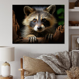 Grey Raccoon Portrait - Raccoon Home Decor Art
