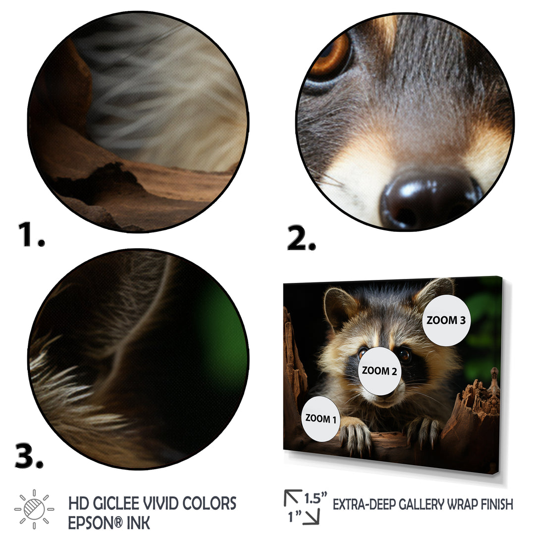 Grey Raccoon Portrait - Raccoon Home Decor Art