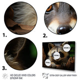 Grey Raccoon Portrait - Raccoon Home Decor Art