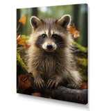 Vibrant Raccoon Portrait III - Animals Canvas Wall Art