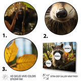 Raccoon Ultra - Raccoon Canvas Wall Art