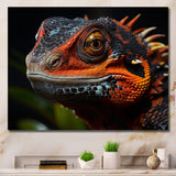 Orange Reptile Amphibian Portrait - Reptile Wall Decor