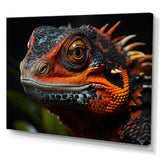 Orange Reptile Amphibian Portrait - Reptile Wall Decor