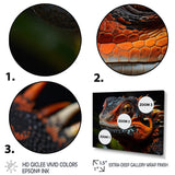 Orange Reptile Amphibian Portrait - Reptile Wall Decor