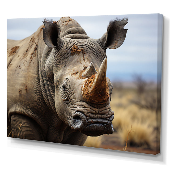 Rhinoceros Monochrome Portrait - Rhinoceros Wall Decor