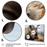 Rhinoceros Monochrome Portrait - Rhinoceros Wall Decor