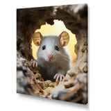 Cute White Rodent - Rodent Bedroom Wall Art