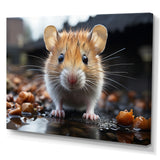 Curious Cute Rodent - Rodent Canvas Wall Art