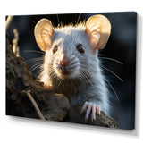 Cute Rodent Portrait - Rodent Canvas Wall Art