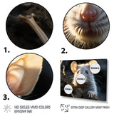 Cute Rodent Portrait - Rodent Canvas Wall Art