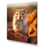 Small Wonder Rodent - Rodent Wall Art Prints