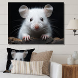 White Small Rodent Wonders - White Rodent Wall Art