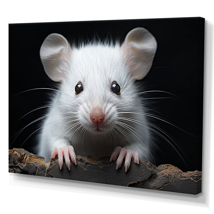 White Small Rodent Wonders - White Rodent Wall Art