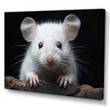 White Small Rodent Wonders - White Rodent Wall Art