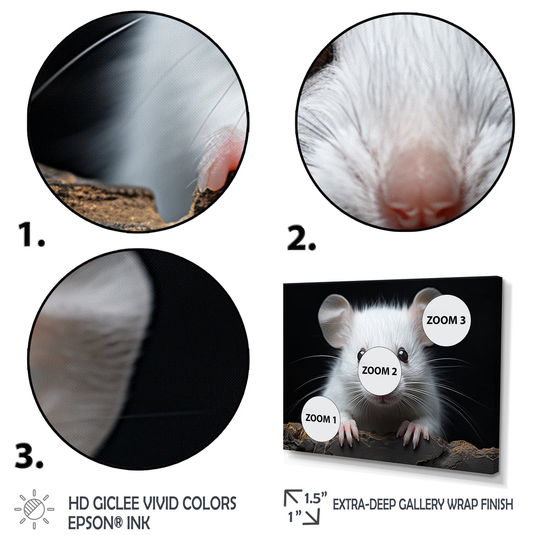 White Small Rodent Wonders - White Rodent Wall Art