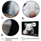 White Small Rodent Wonders - White Rodent Wall Art
