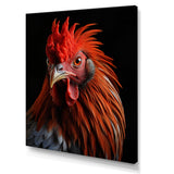 Brown Rooster Closeup Portrait - Rooster Home Decor Art