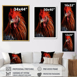 Brown Rooster Closeup Portrait - Rooster Home Decor Art