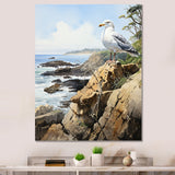Seagull Coastal Guardian On Rock - Seagull Wall Art Prints