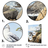 Seagull Coastal Guardian On Rock - Seagull Wall Art Prints