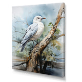 Seagull Coastal Guardian On Branch - Seagull Wall Art Prints