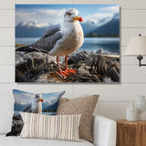 Seagull Portrait On Rock - Seagull Home Decor Art