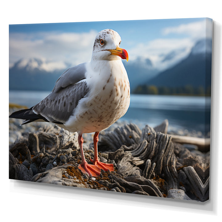 Seagull Portrait On Rock - Seagull Home Decor Art