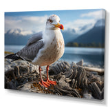 Seagull Portrait On Rock - Seagull Home Decor Art