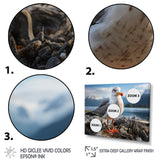 Seagull Portrait On Rock - Seagull Home Decor Art