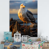 Seagull Vibrant Portrait On Rock - Seagull Living Room Wall Art