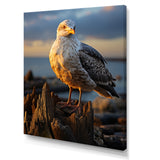 Seagull Vibrant Portrait On Rock - Seagull Living Room Wall Art