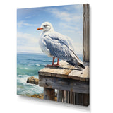 Seagull In Repose At Beach - Seagull Wall Art Prints
